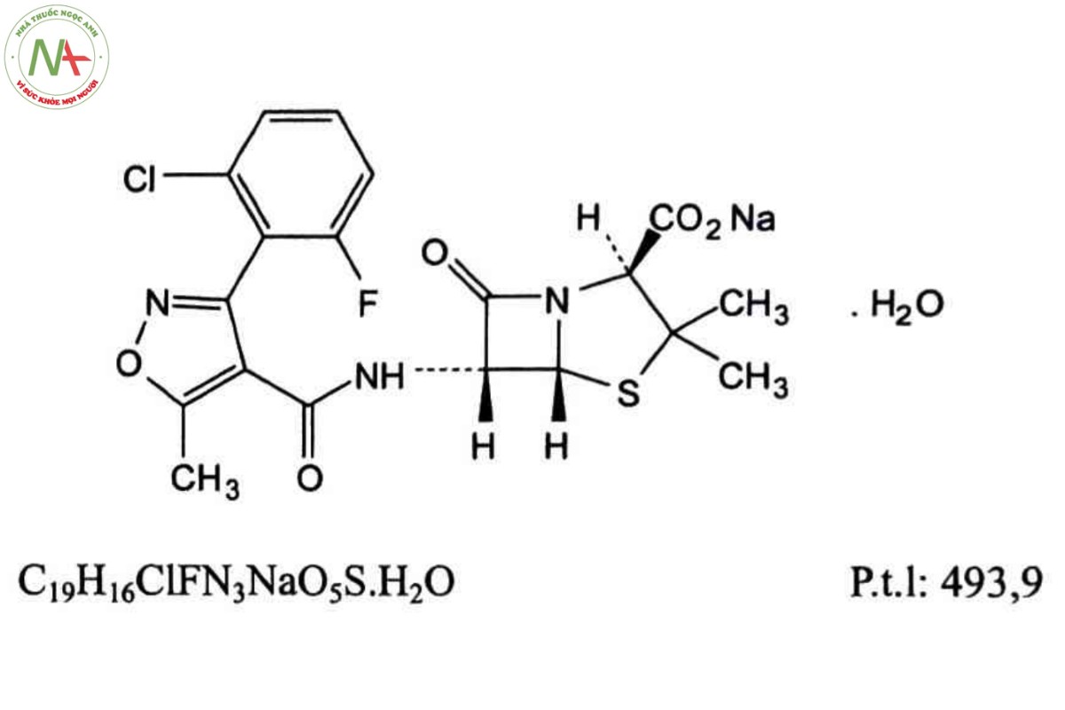 FLUCLOXACILIN NATRI 2 FLUCLOXACILIN NATRI
