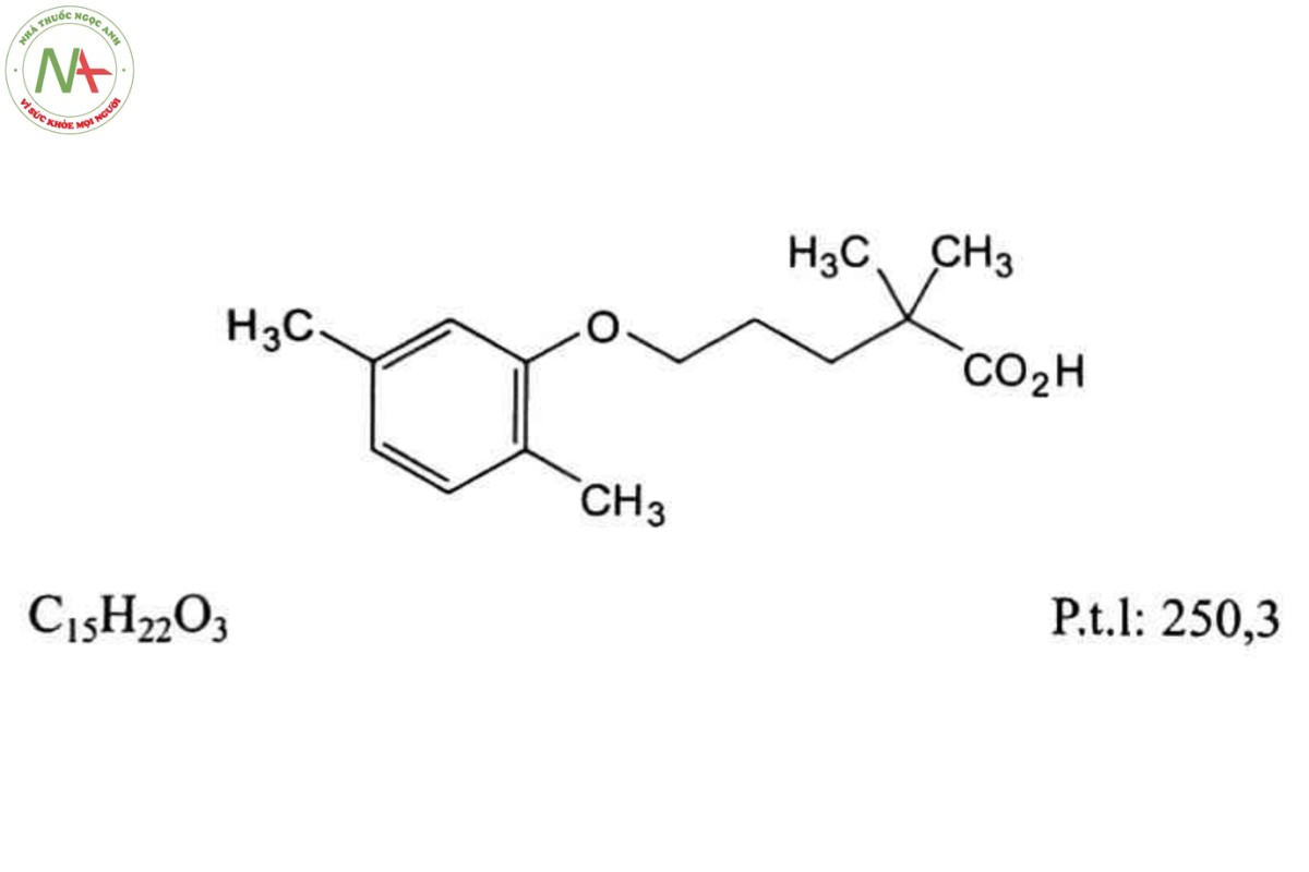 GEMFIBROZIL 2 GEMFIBROZIL
