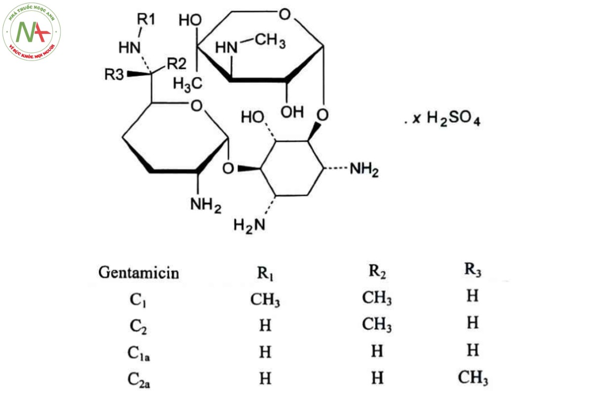 GENTAMICIN SULFAT 2 GENTAMICIN SULFAT