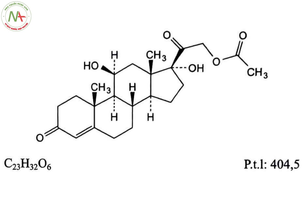 HYDROCORTISON ACETAT 2 HYDROCORTISON ACETAT