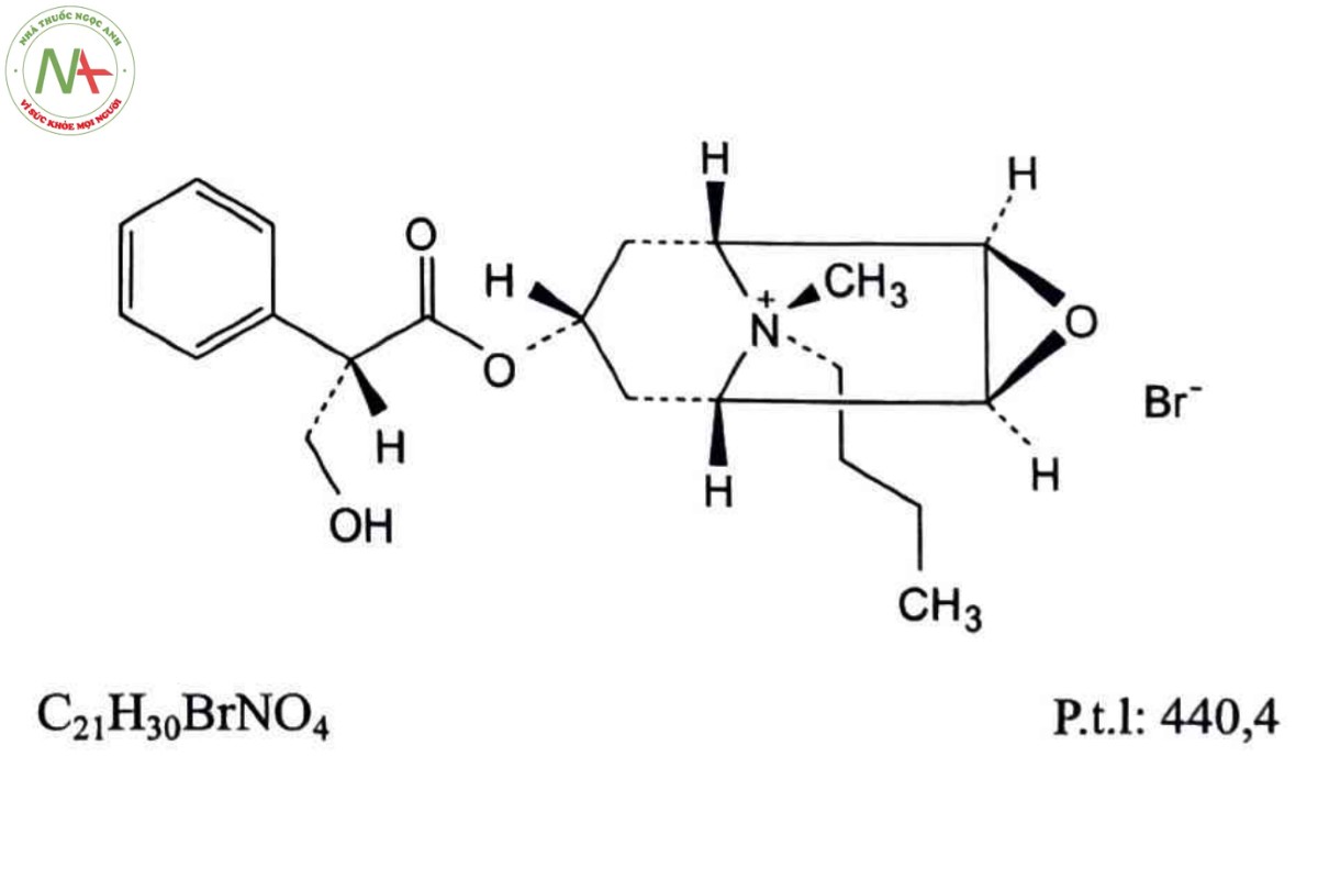 HYOSCIN BUTYLBROMID 2 HYOSCIN BUTYLBROMID