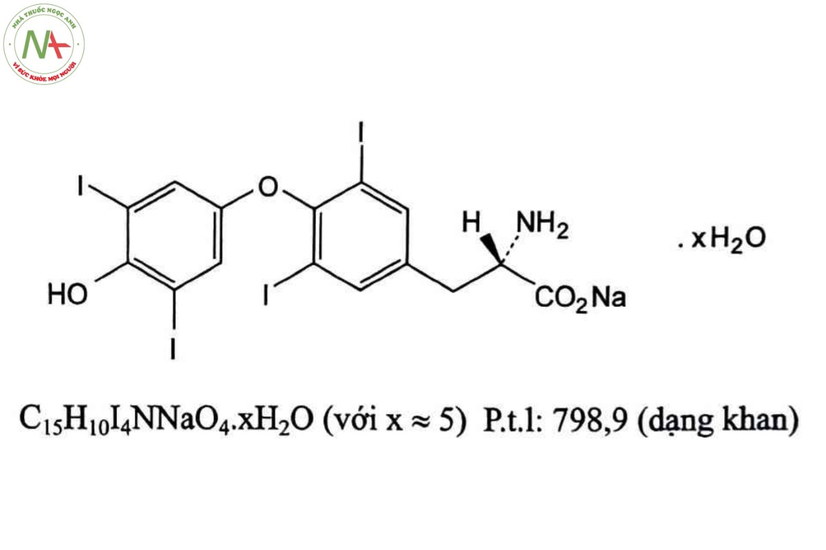 LEVOTHYROXIN NATRI 2 LEVOTHYROXIN NATRI