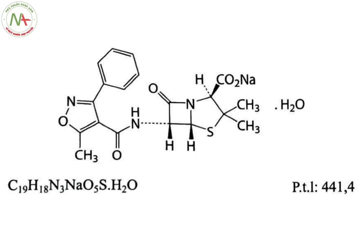 OXACILIN NATRI MONOHYDRAT 2 OXACILIN NATRI MONOHYDRAT
