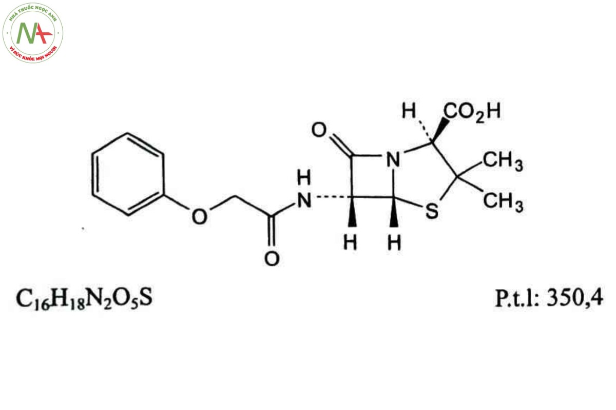 PHENOXYMETHYLPENICILIN 2 PHENOXYMETHYLPENICILIN