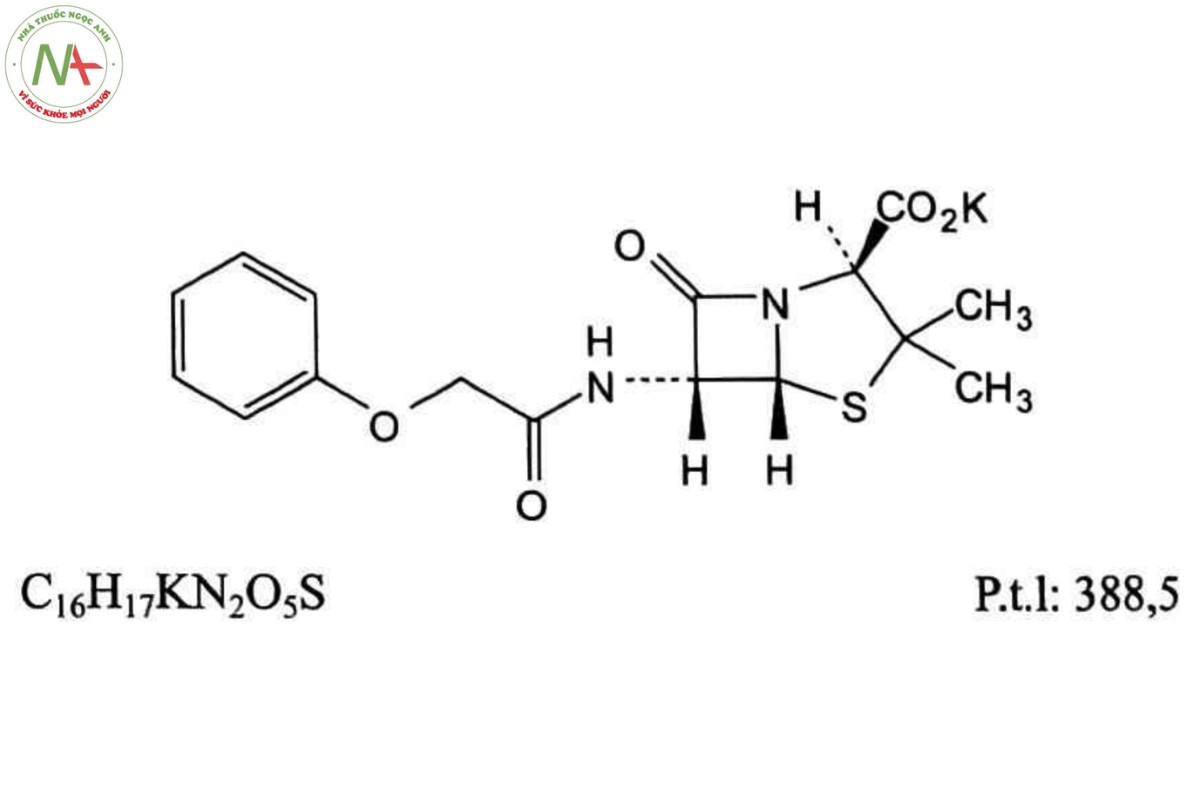 PHENOXYMETHYLPENICILIN KALI 2 PHENOXYMETHYLPENICILIN KALI