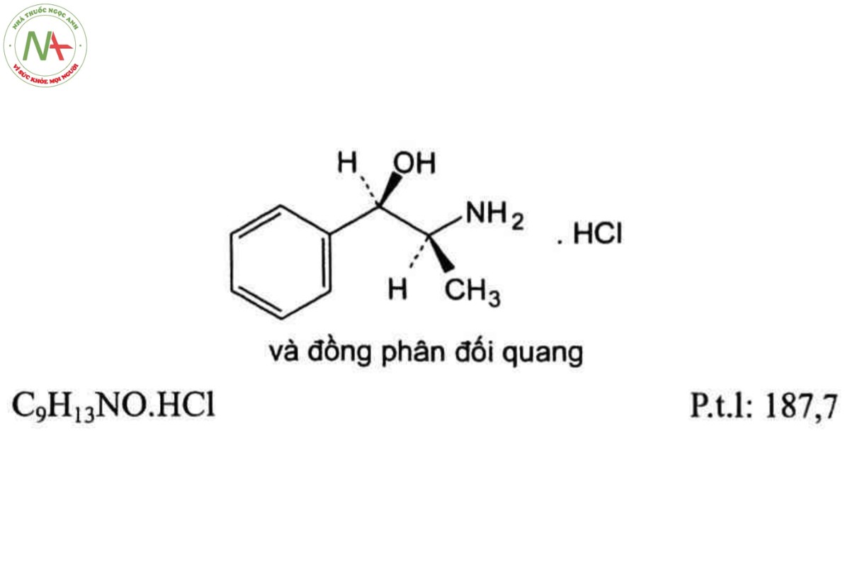 PHENYLPROPANOLAMIN HYDROCLORID 2 PHENYLPROPANOLAMIN HYDROCLORID