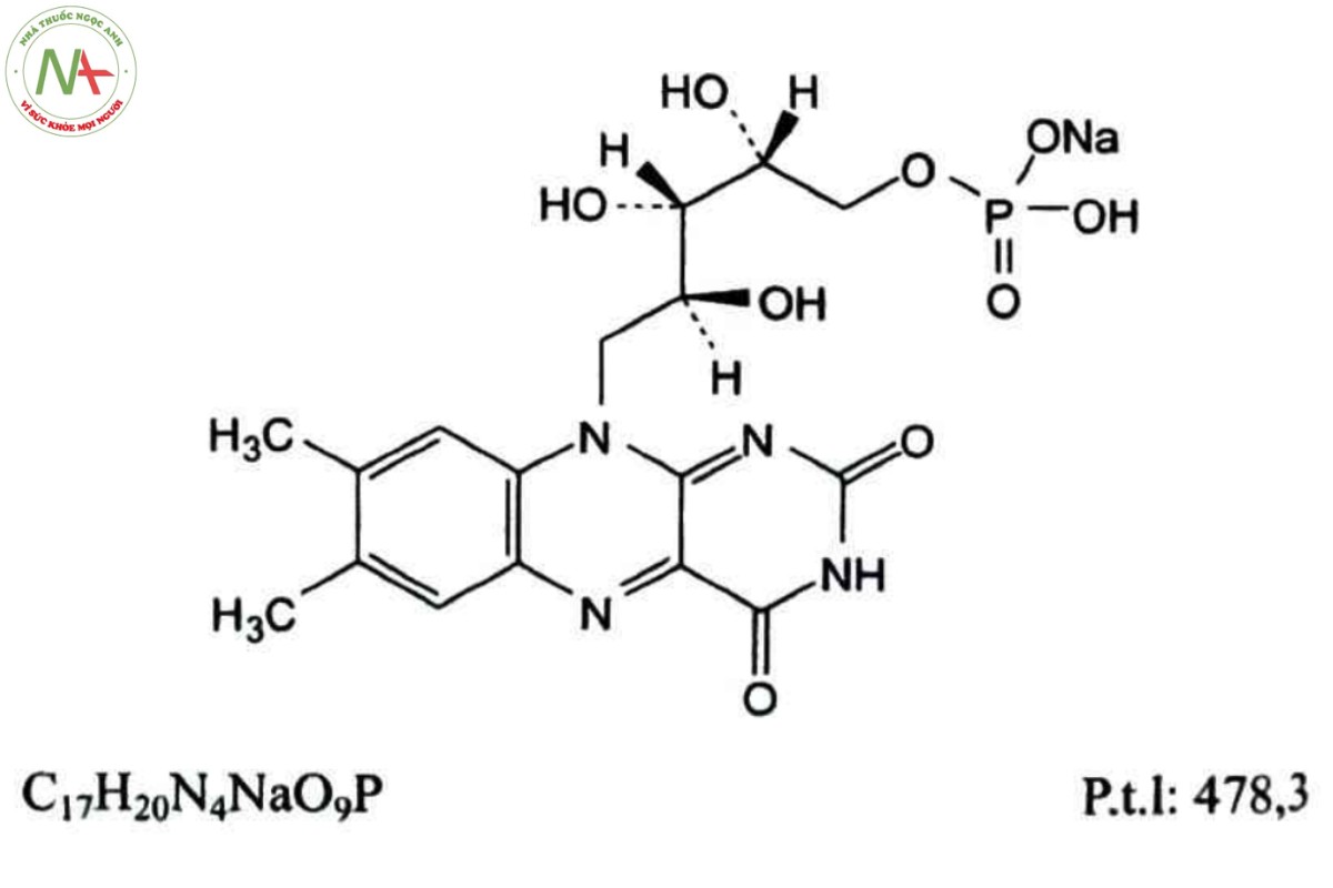 RIBOFLAVIN NATRI PHOSPHAT 2 RIBOFLAVIN NATRI PHOSPHAT