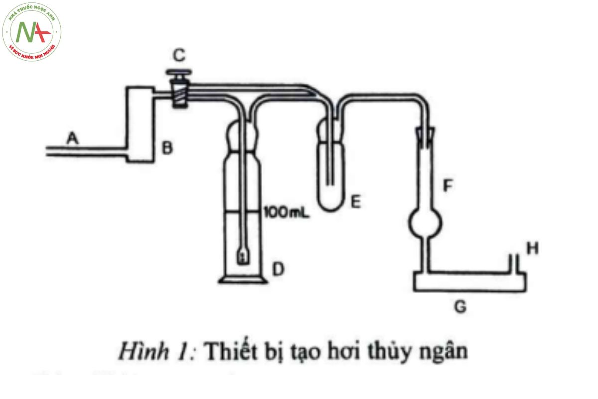 SẮT OXYD 2 Hình 1. Thiết bị tạo hơi thủy ngân