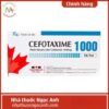Thuốc Cefotaxime 1000 Tenamyd 75x75px