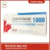 Thuốc Cefotaxime 1000 Tenamyd 75x75px