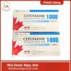 Thuốc Cefotaxime 1000 Tenamyd 75x75px