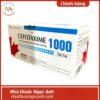 Thuốc Cefotaxime 1000 Tenamyd 75x75px