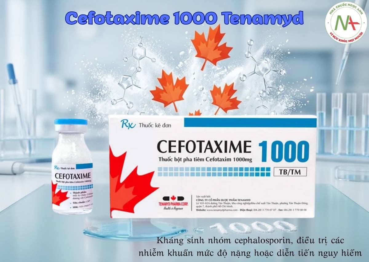 Cefotaxime 1000 Tenamyd 3 Thuốc Cefotaxime 1000 Tenamyd - Kháng sinh nhóm cephalosporin