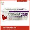 Cefotaxime 2000 Dược phẩm Tenamyd 75x75px