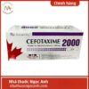Cefotaxime 2000 Dược phẩm Tenamyd 75x75px