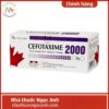 Cefotaxime 2000 Dược phẩm Tenamyd 75x75px