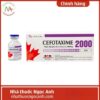 Cefotaxime 2000 Dược phẩm Tenamyd