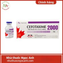Nhà Thuốc Ngọc Anh 38 Cefotaxime 2000 Dược phẩm Tenamyd