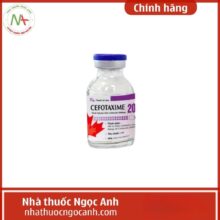 Cefotaxime 2000 Dược phẩm Tenamyd