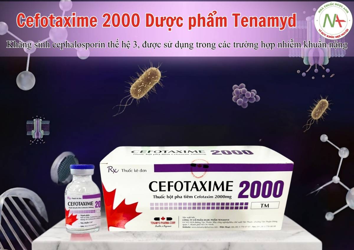 Cefotaxime 2000 Dược phẩm Tenamyd 3 Cefotaxime 2000 Dược phẩm Tenamyd - Kháng sinh cephalosporin thế hệ 3