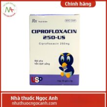 Thuốc Ciprofloxacin 250-US