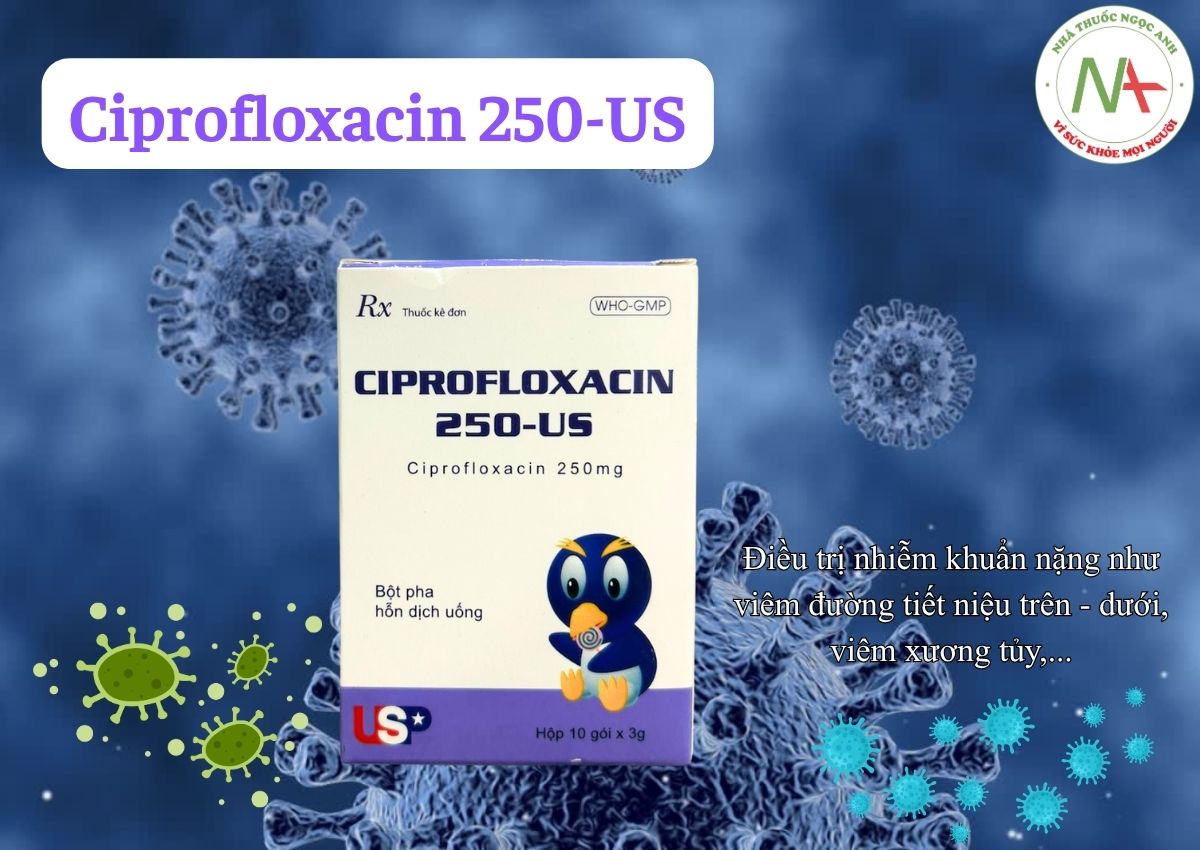 Ciprofloxacin 250-US 3 Thuốc Ciprofloxacin 250-US - Kháng sinh nhóm fluoroquinolon thế hệ 2