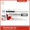 Ceftazidime 1000 Dược phẩm Tenamyd