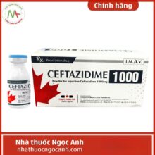 Nhà Thuốc Ngọc Anh 38 Thuốc Ceftazidime 1000 Dược phẩm Tenamyd