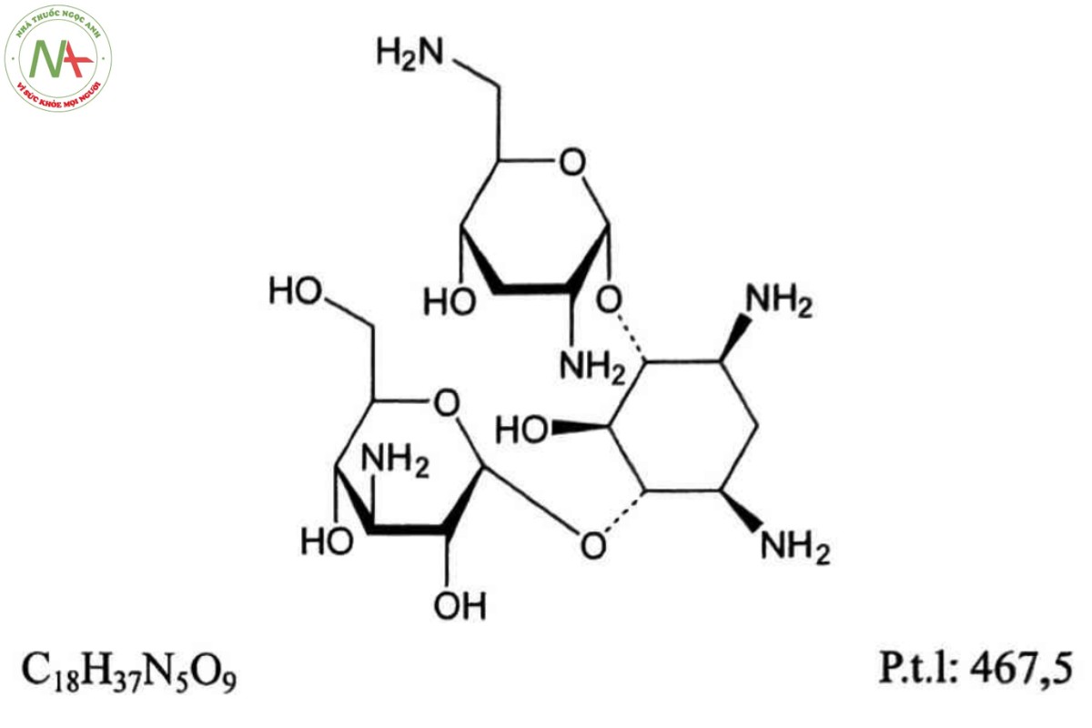 TOBRAMYCIN 2 TOBRAMYCIN