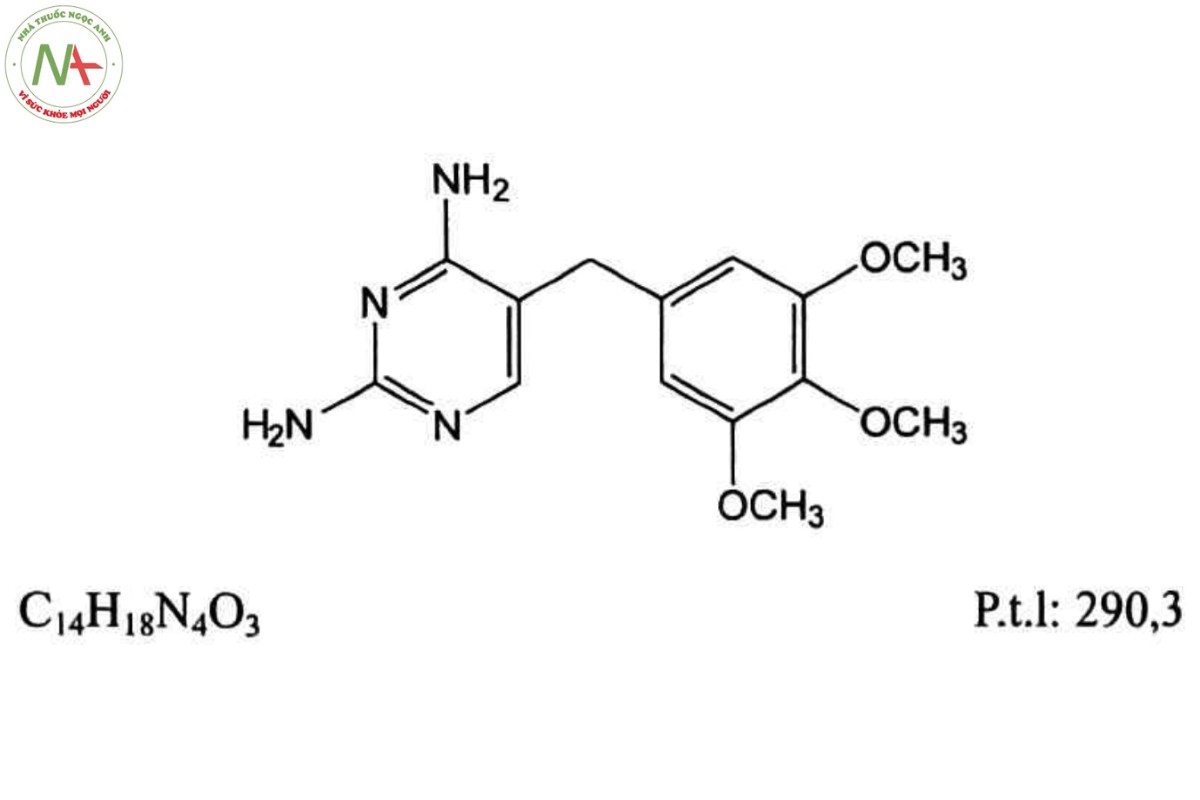 TRIMETHOPRIM 2 TRIMETHOPRIM