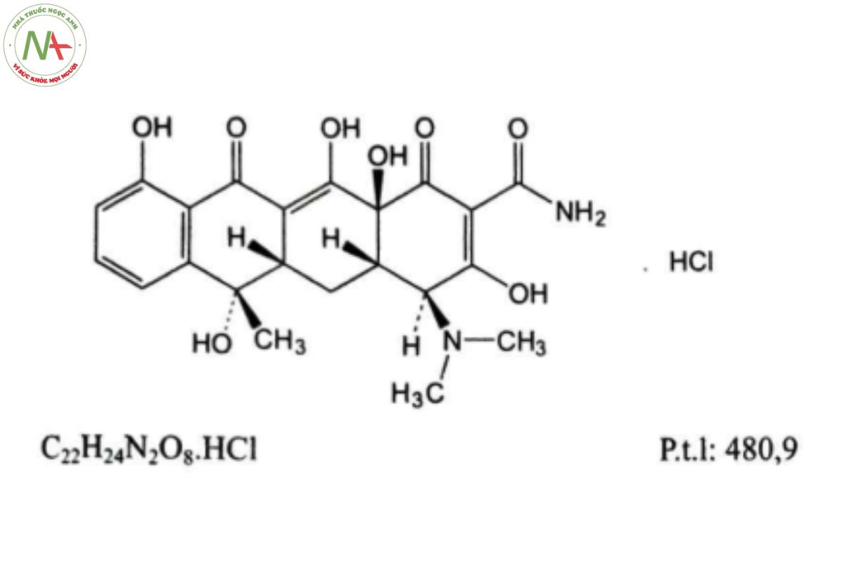 TETRACYCLIN HYDROCLORID 2 TETRACYCLIN HYDROCLORID