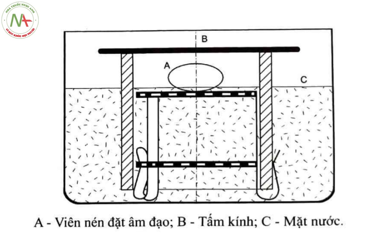 Phụ lục 11.5 - PHÉP THỬ ĐỘ RÃ CỦA THUỐC ĐẠN VÀ THUỐC TRỨNG 3 Hình 11.5.2 - Thiết bị thử độ rã của viên nén đặt âm đạo