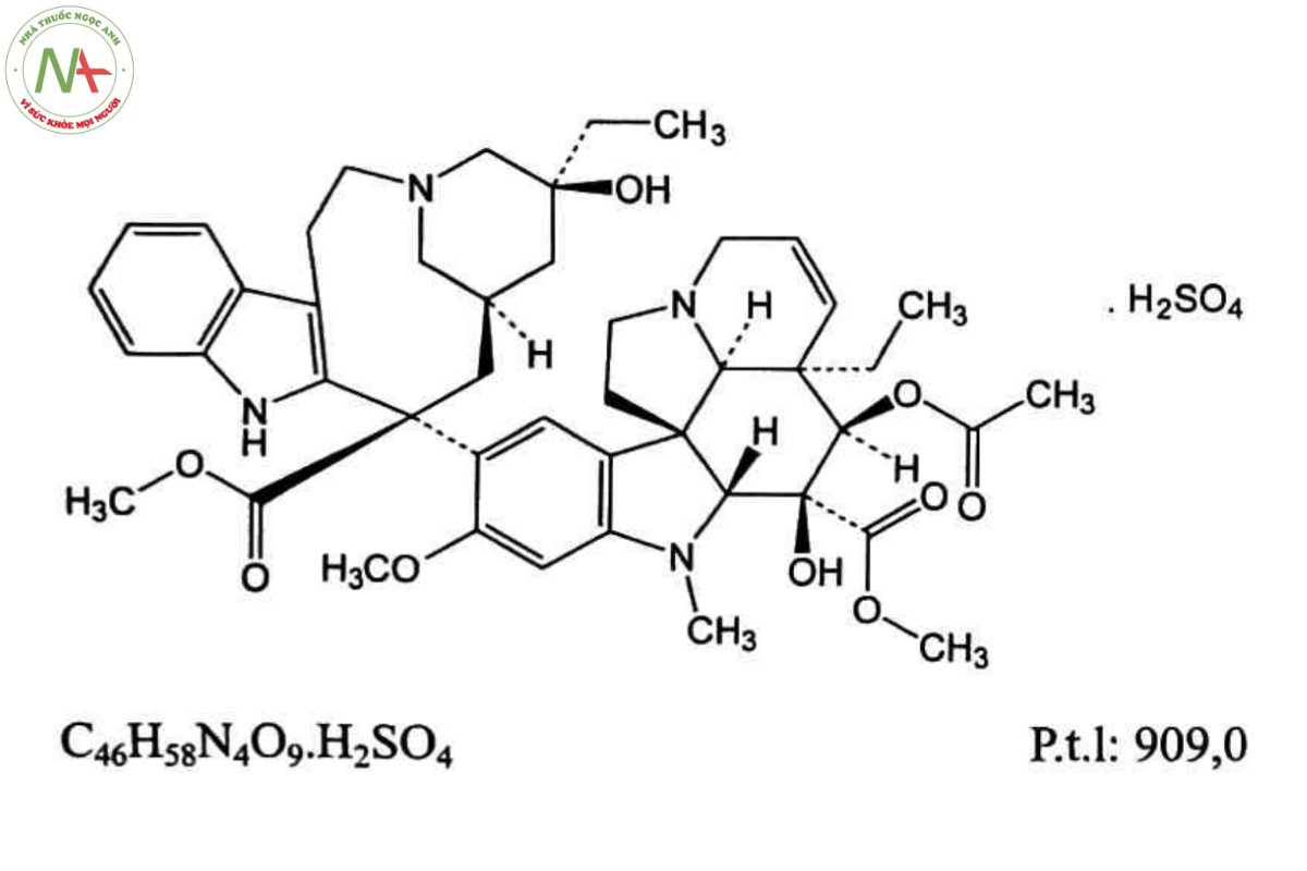 VINBLASTIN SULFAT 2 VINBLASTIN SULFAT